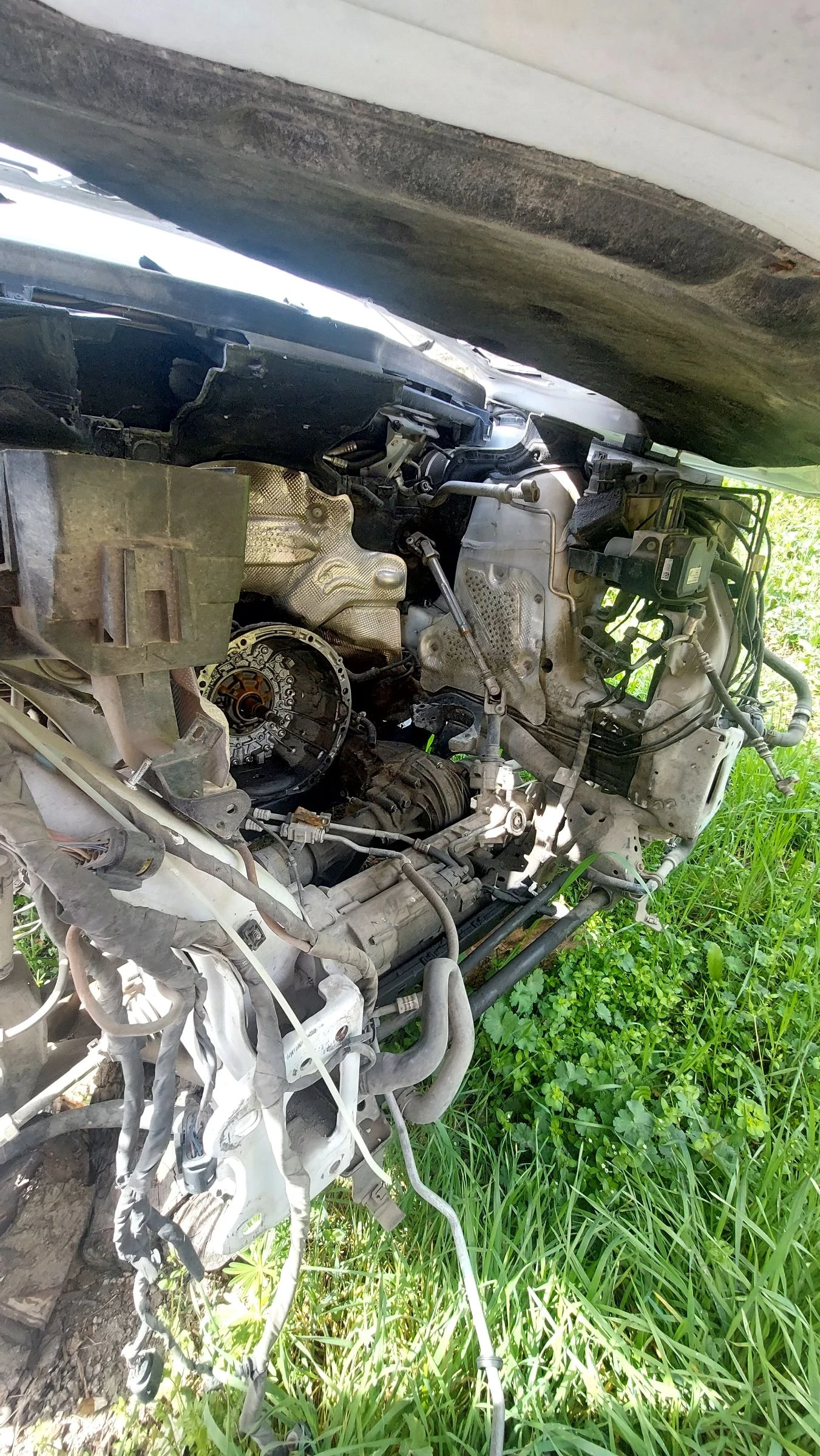 Mercedes-Benz ML 350  - изображение 5