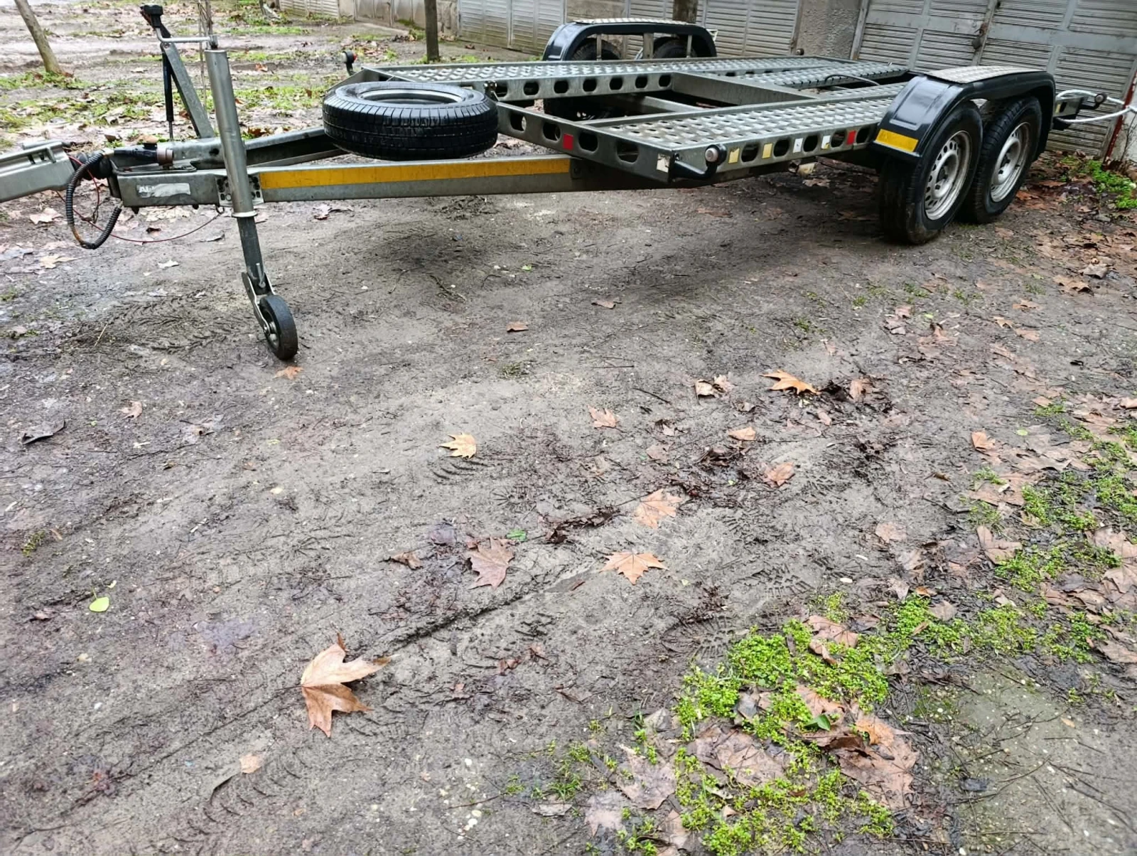 �� ��������� WIOLA | Mobile.bg � ����������� 5