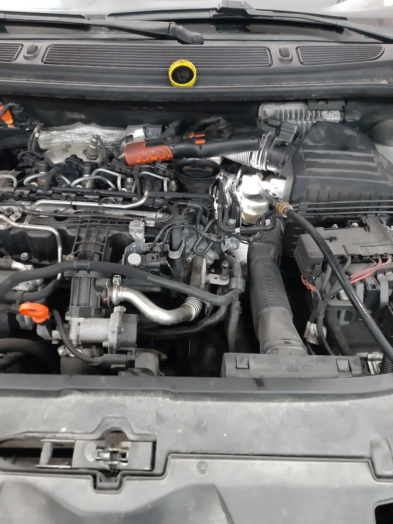 Skoda Roomster 1.6 TDI 90 K.C. SCOUT | Mobile.bg   13