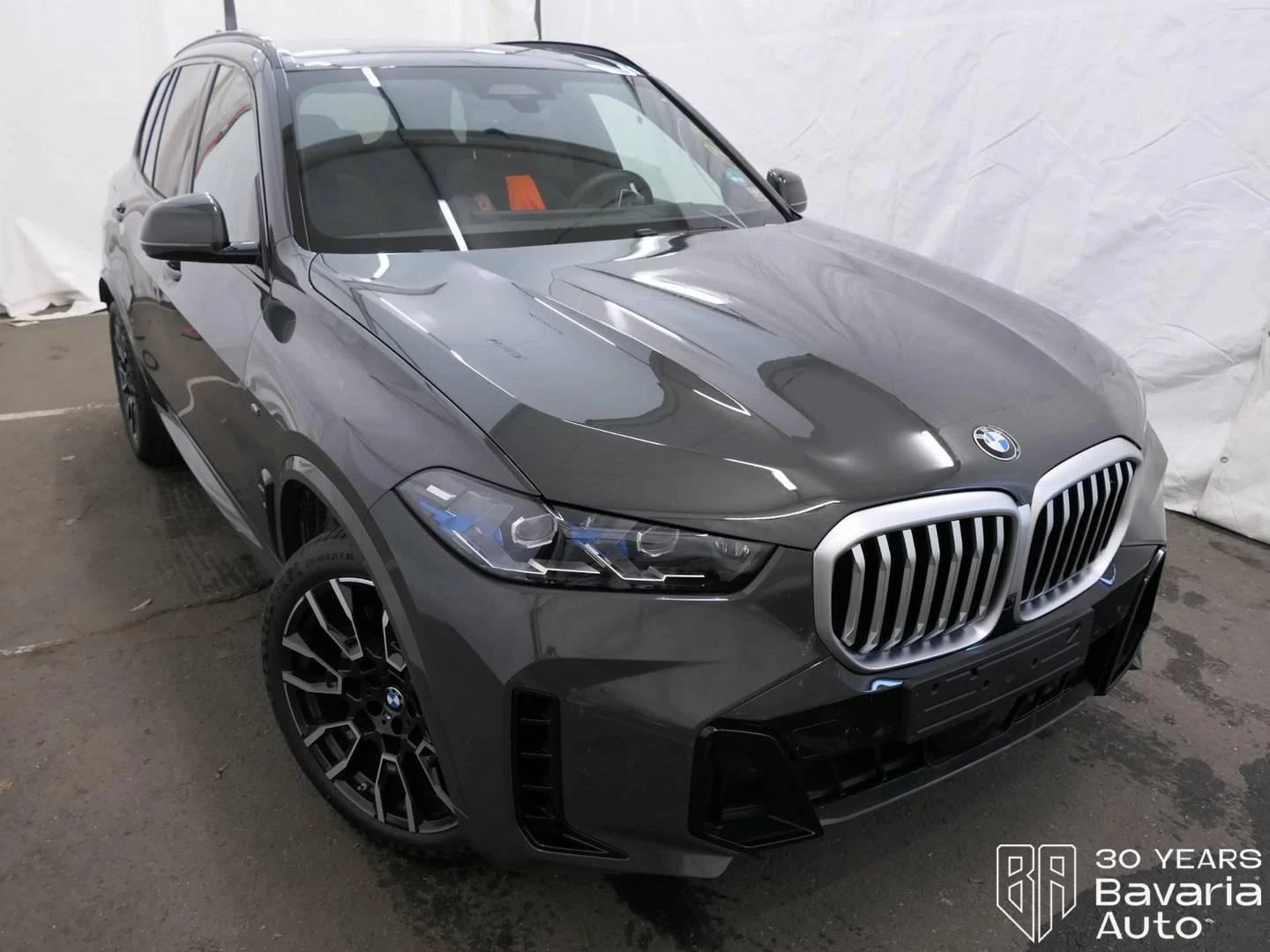 BMW X5 30d xDrive Sportautomatic, снимка 4 - Автомобили и джипове - 56235313
