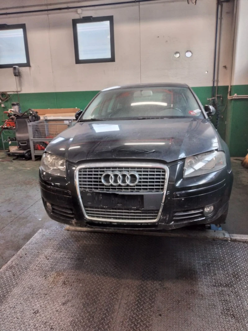 Audi A3 2.0tdi/1.9tdi клуатро, снимка 9 - Автомобили и джипове - 47071304