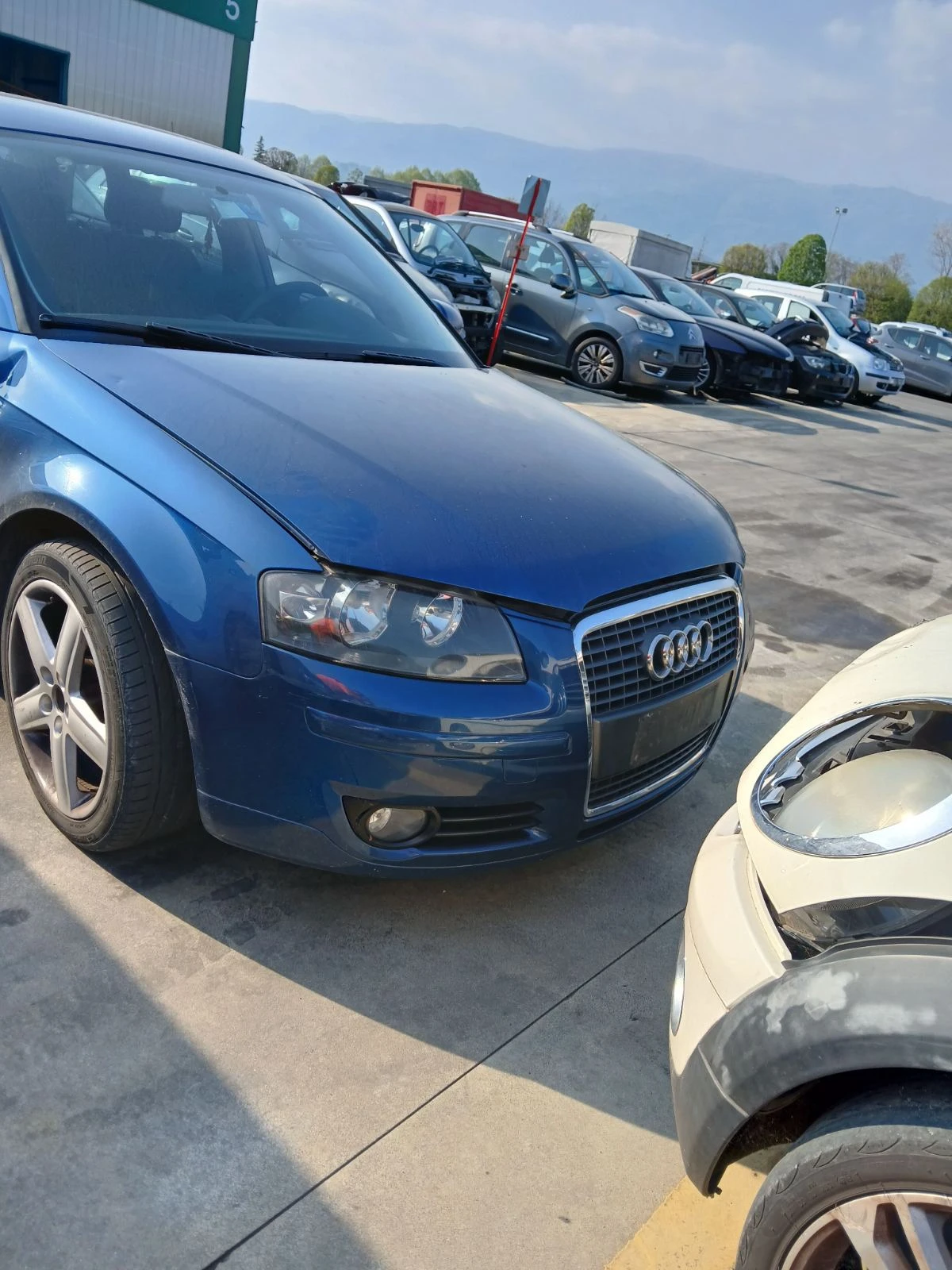 Audi A3 2.0tdi/1.9tdi  1.6 | Mobile.bg   16