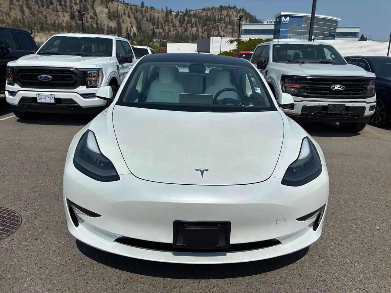 Tesla Model 3  Standard Range  / CARFAX / АВТОКРЕДИТ , снимка 6 - Автомобили и джипове - 55538764