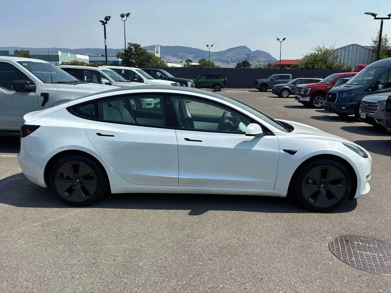Tesla Model 3  Standard Range  / CARFAX / АВТОКРЕДИТ , снимка 3 - Автомобили и джипове - 55538764