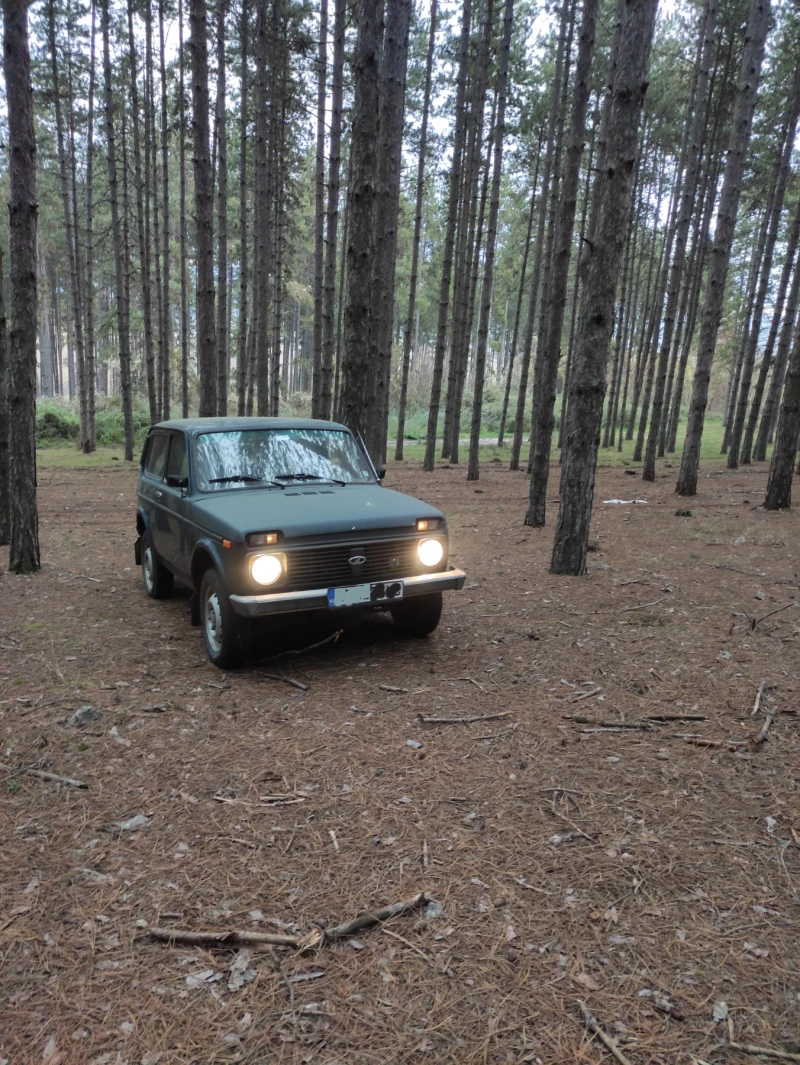 Lada Niva, снимка 1 - Автомобили и джипове - 48384522