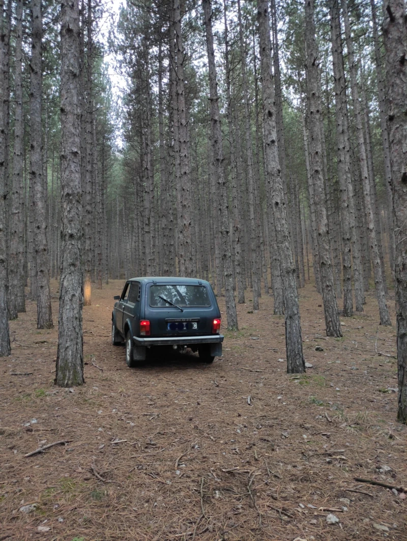 Lada Niva, снимка 3 - Автомобили и джипове - 48384522