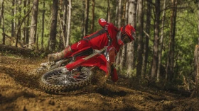 Ducati Desmo 450 EDS, снимка 4