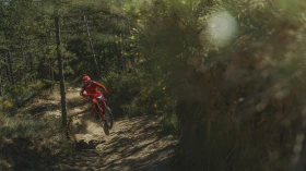 Ducati Desmo 450 EDS, снимка 8