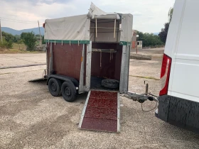 �� ��������� Rettensteiner | Mobile.bg � ����� ������ 8