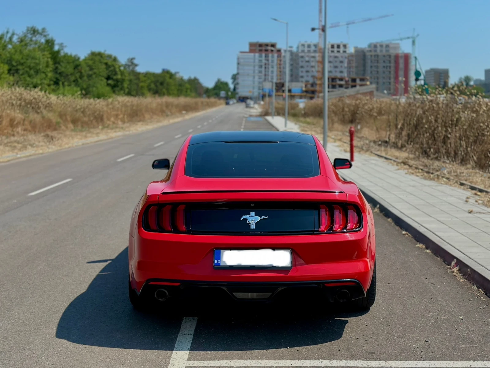 Ford Mustang 3.7 - изображение 4