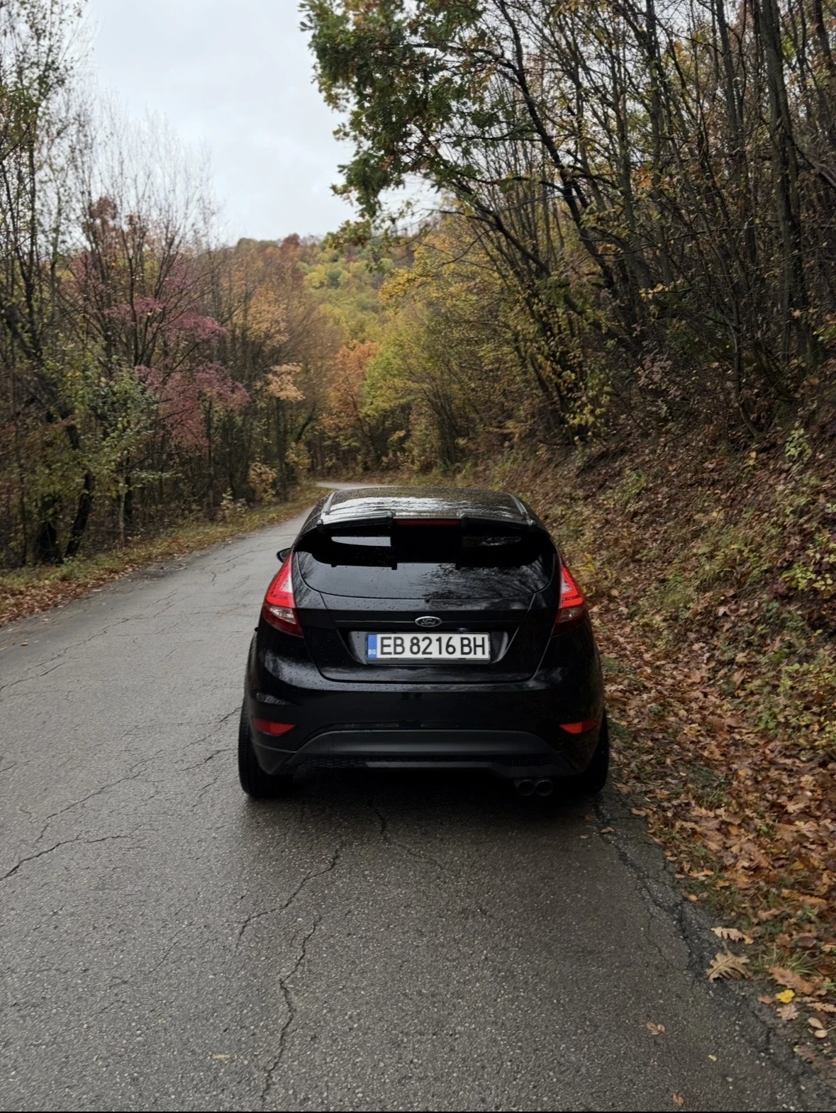 Ford Fiesta, снимка 4 - Автомобили и джипове - 54714246
