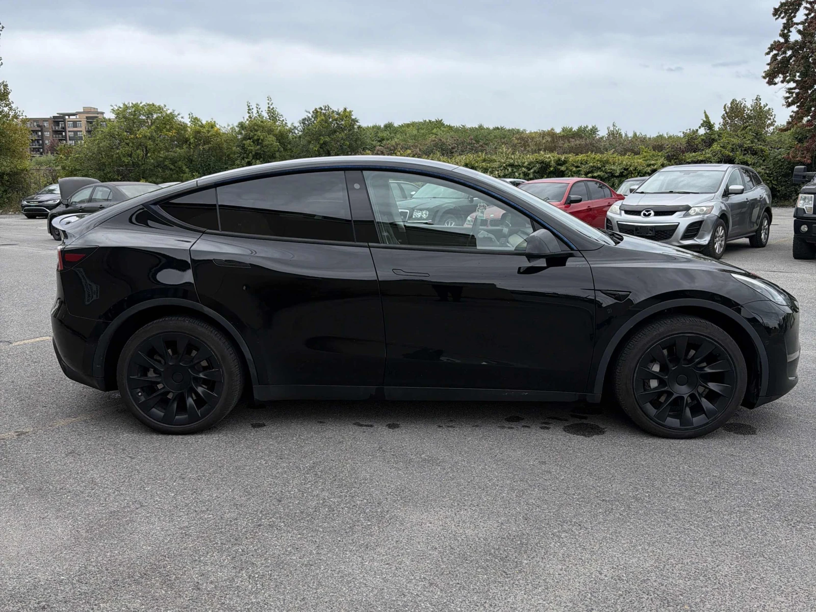 Tesla Model Y Long Range, ������, ���������� | Mobile.bg � ����������� 3
