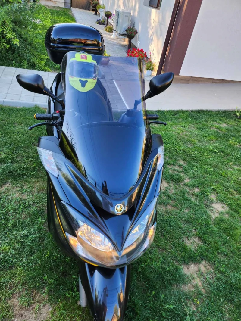 Yamaha Majesty, снимка 5 - Мотоциклети и мототехника - 51725148