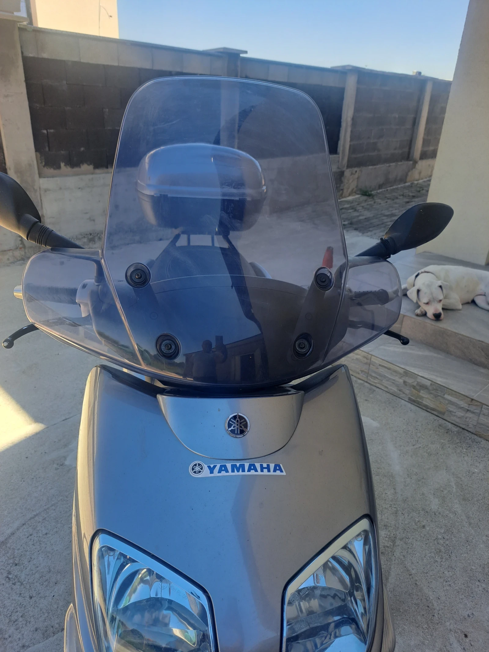 Yamaha XC | Mobile.bg � ����������� 8
