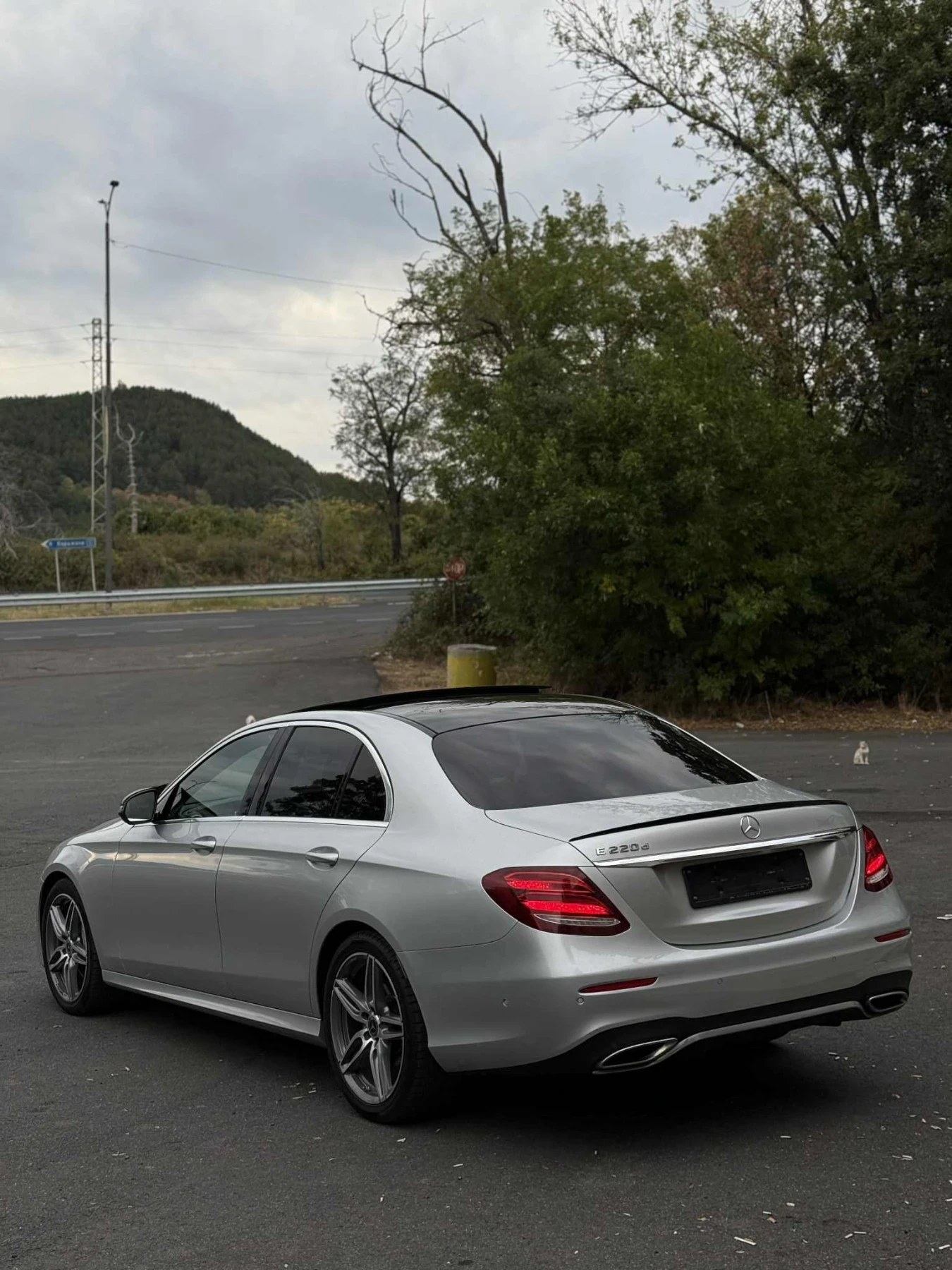 Mercedes-Benz E 220  - изображение 3