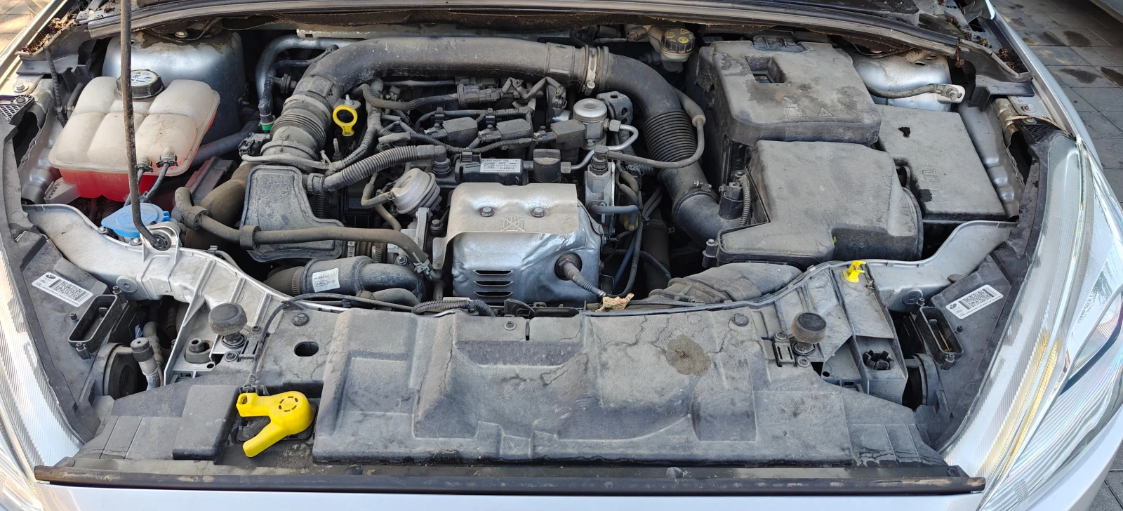 Ford Focus  - изображение 9