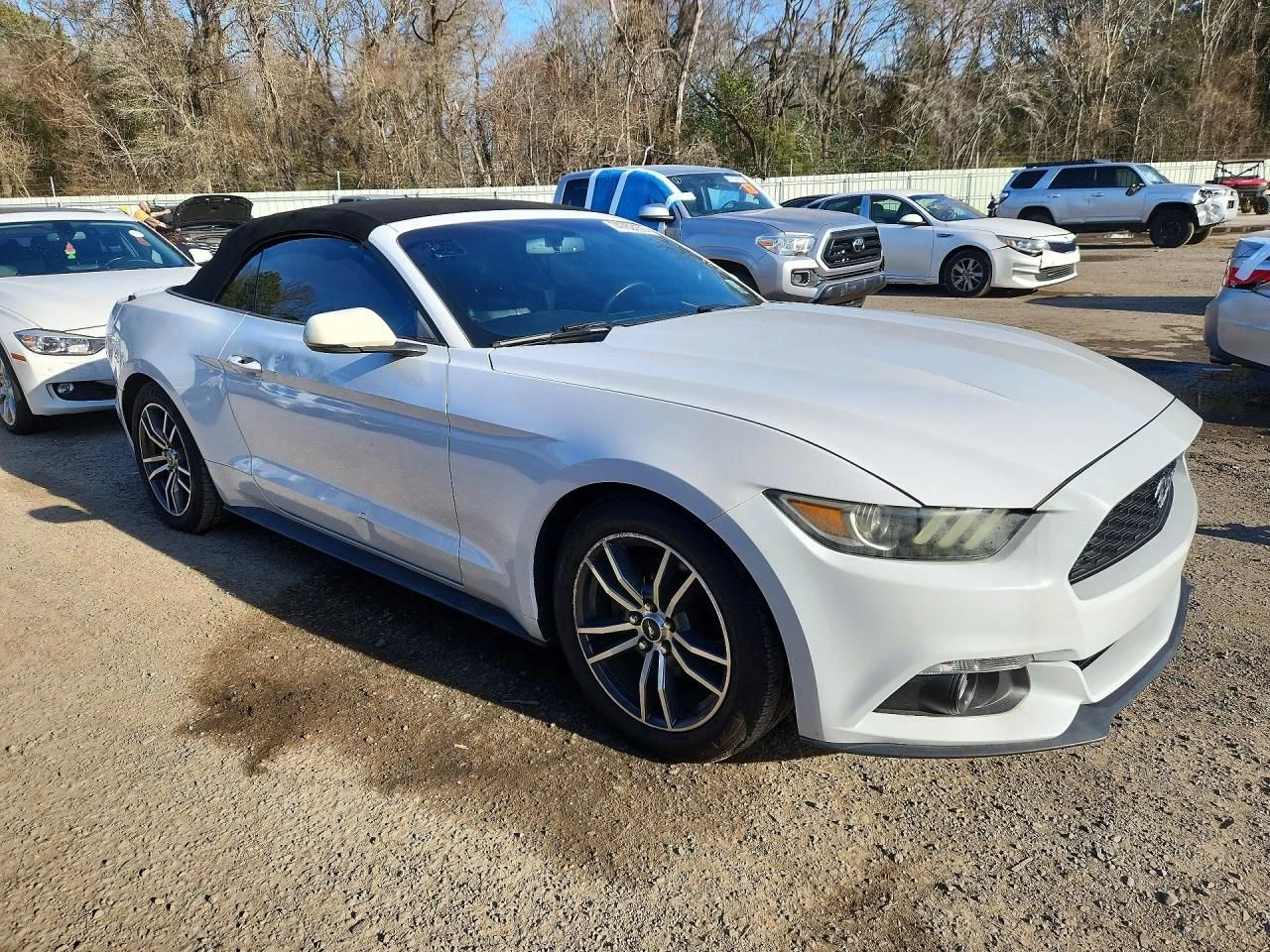 Ford Mustang  - изображение 4