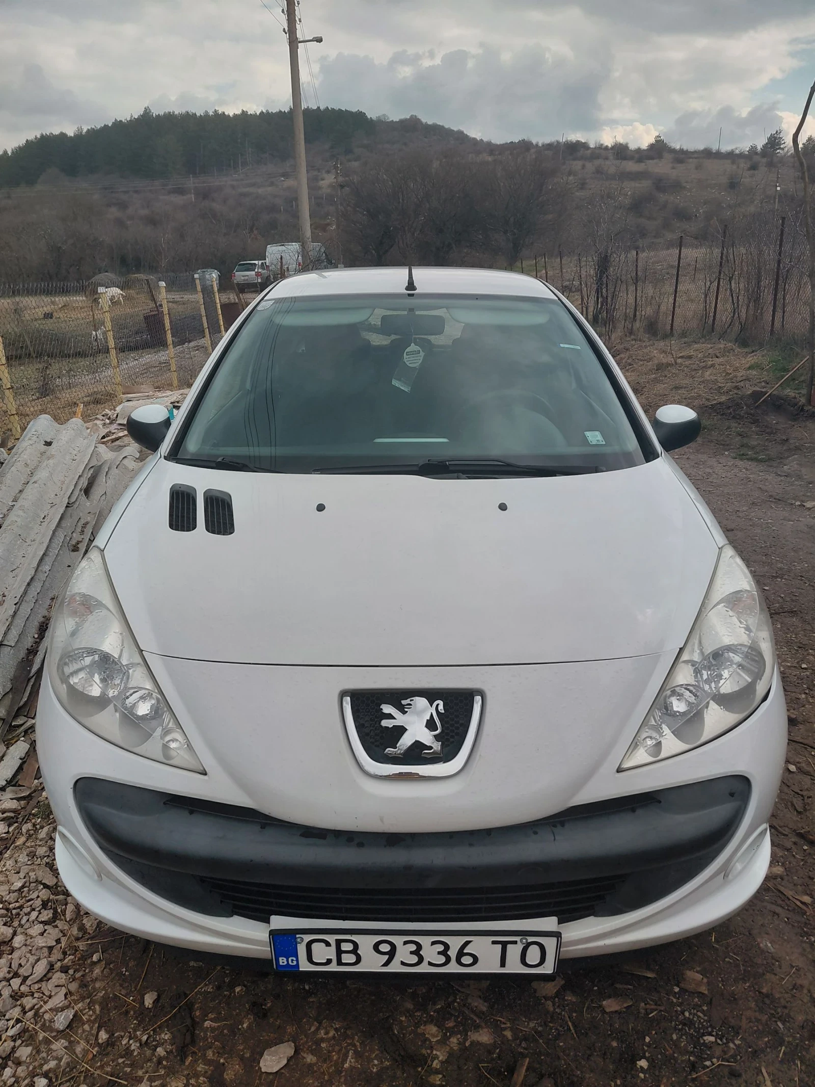 Peugeot 206