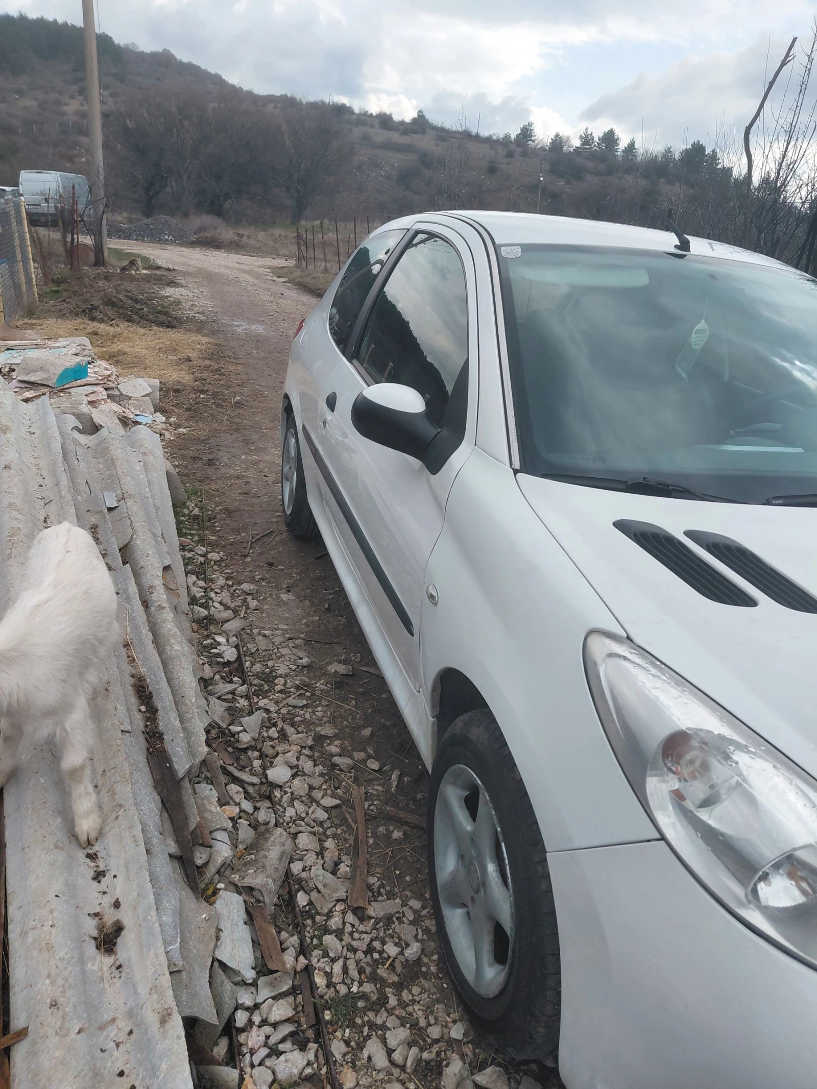 Peugeot 206, снимка 3 - Автомобили и джипове - 53720448