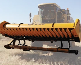 Хедер Други Free Sun, снимка 2