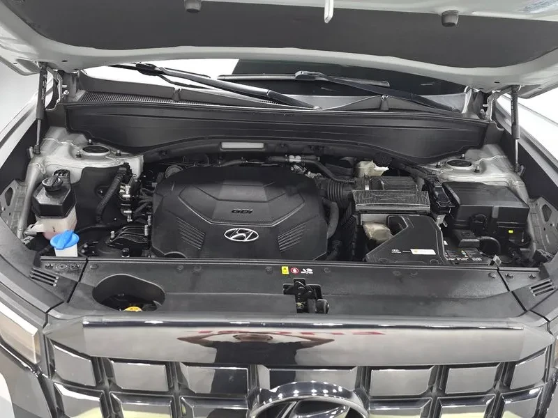 Hyundai Palisade  3.8 4Wd Leblanc | Mobile.bg � ����������� 6