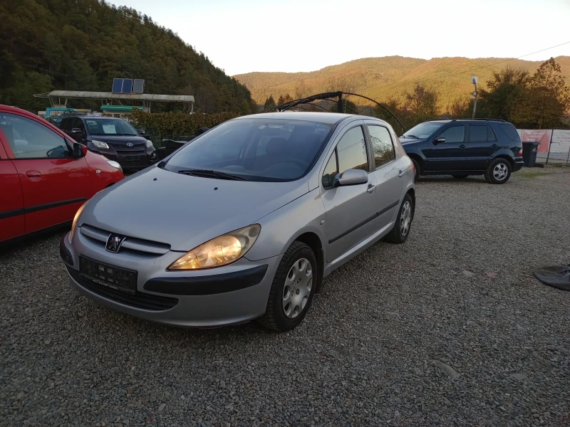 Peugeot 307 2.0 HDi 90k.c. klimatik , снимка 1 - Автомобили и джипове - 47667659