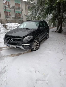 Mercedes-Benz ML 250, снимка 12