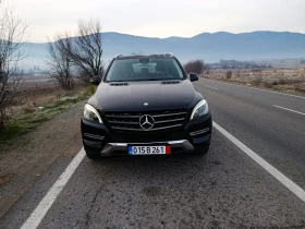 Mercedes-Benz ML 250, снимка 3