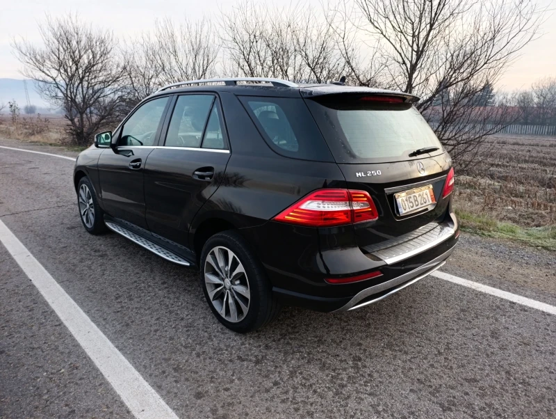Mercedes-Benz ML 250, снимка 6 - Автомобили и джипове - 53196721