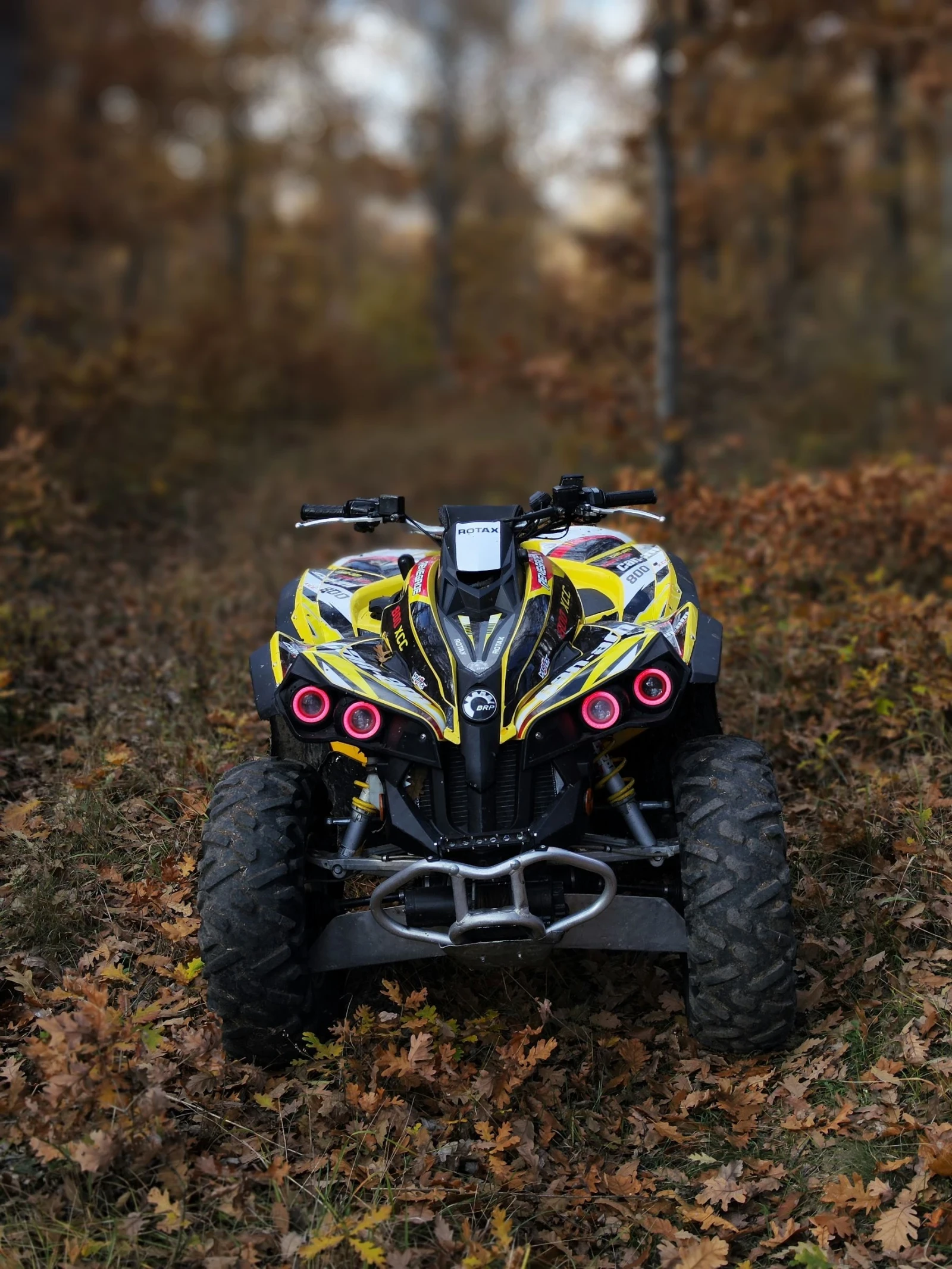 Can-Am Renеgade  - изображение 6