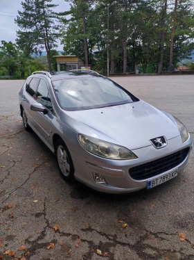  Peugeot 407