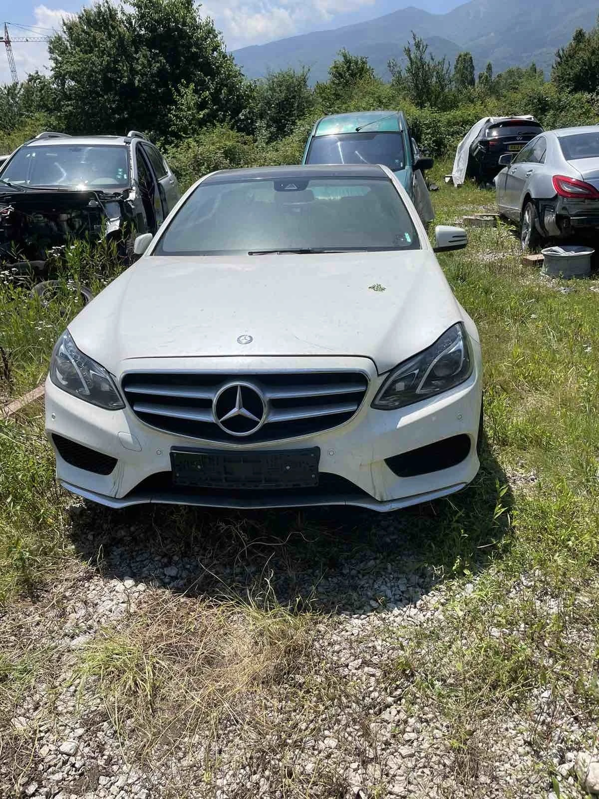 Mercedes-Benz E 250 250d  - [1] 