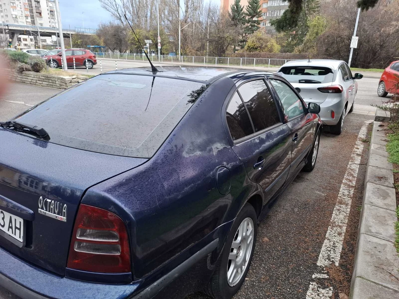 Skoda Octavia 1.9 TDI - изображение 6