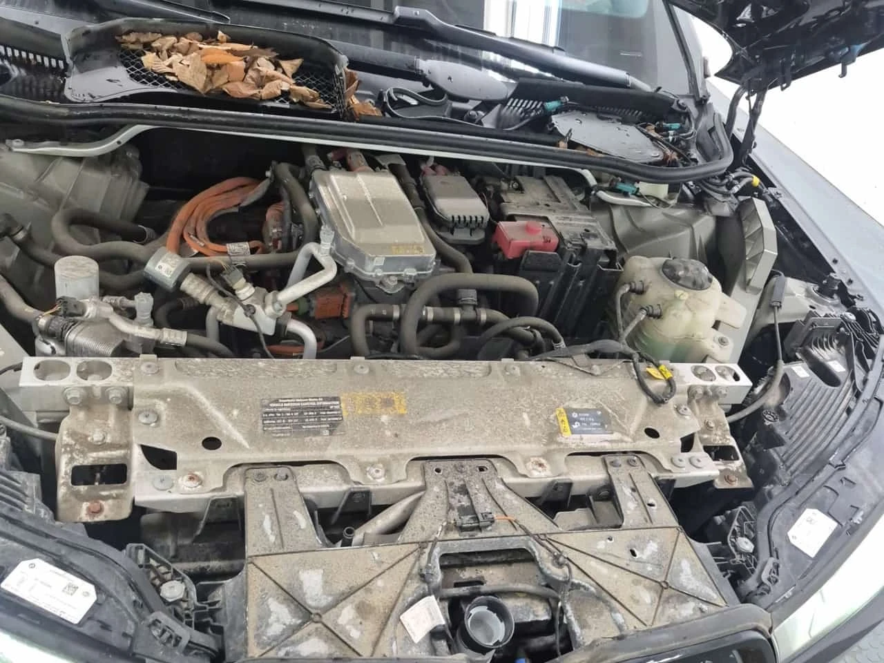 BMW iX * Sports Activity Vehicle Xdrive40 * CARFAX *  | Mobile.bg � ����������� 16