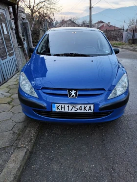  Peugeot 307