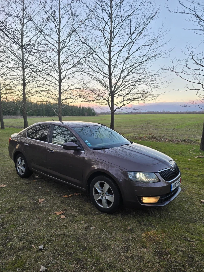 Skoda Octavia 1.6д нави автомат кожа Би-ксенон, снимка 1 - Автомобили и джипове - 49215645