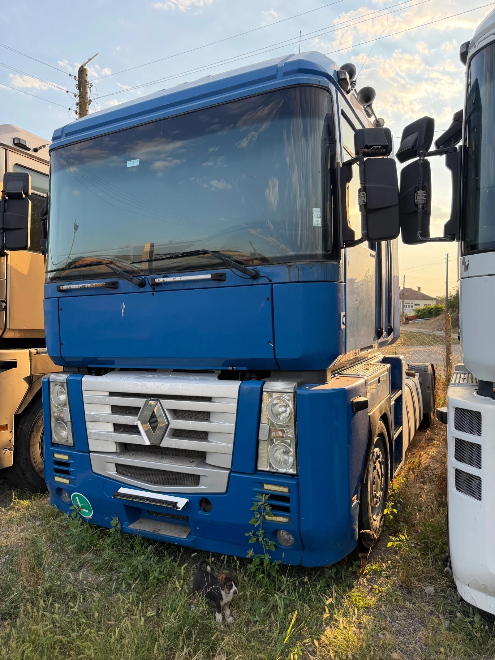 Renault Magnum 440DXI  480DXI, снимка 8 - Камиони - 55645668