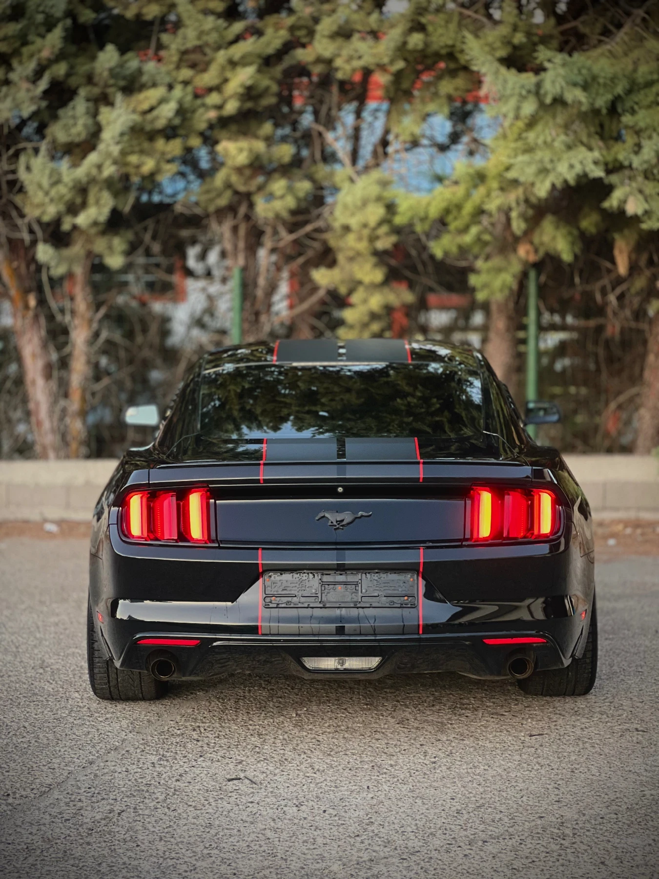 Ford Mustang 3.7 - изображение 5