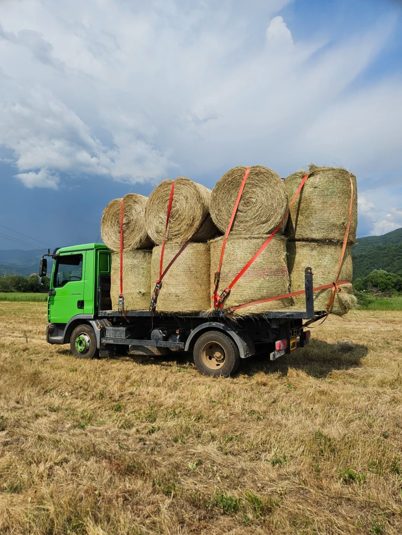 Man Tgl 12.180, снимка 8 - Камиони - 50488483