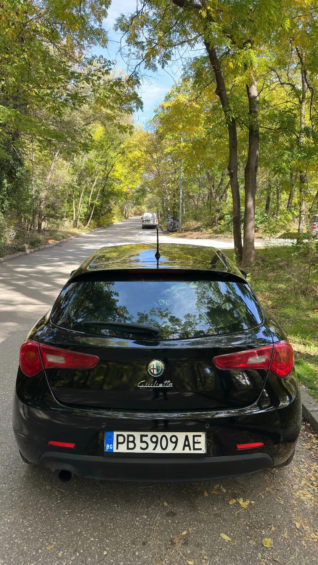 Alfa Romeo Giulietta 1.4 ������/��� 120 ���� | Mobile.bg � ����������� 11