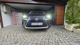 Lexus NX 350h, снимка 11