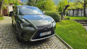 Lexus NX 350h, снимка 15