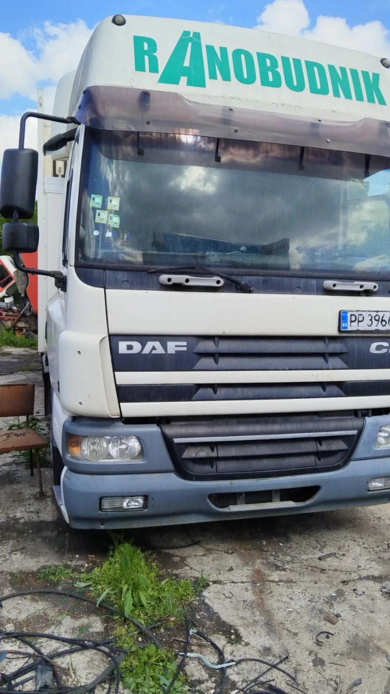 Daf CF 250, снимка 1 - Камиони - 47947880