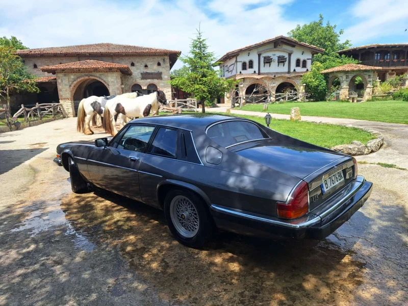 Jaguar Xjs, снимка 8 - Автомобили и джипове - 49165653