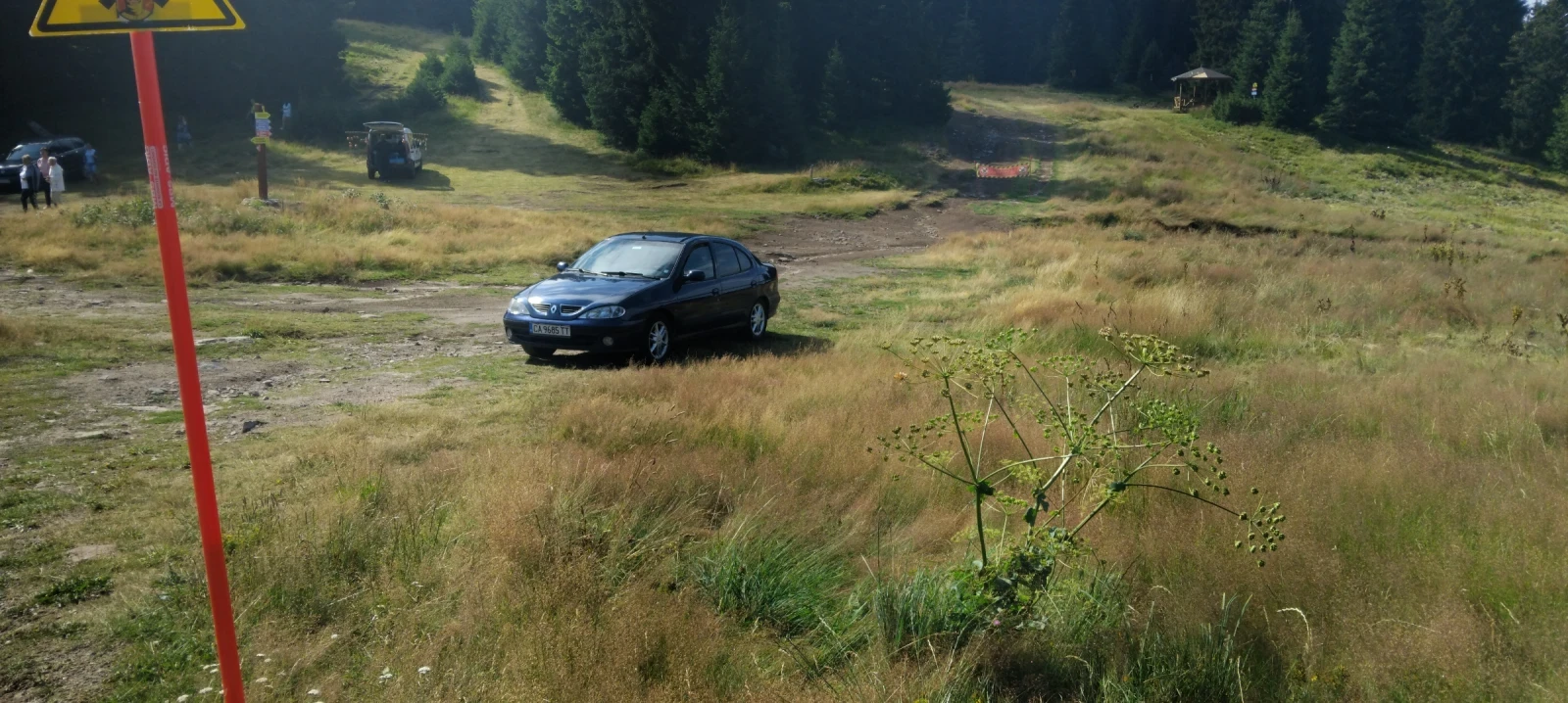 Renault Megane Classic, снимка 4 - Автомобили и джипове - 56344415