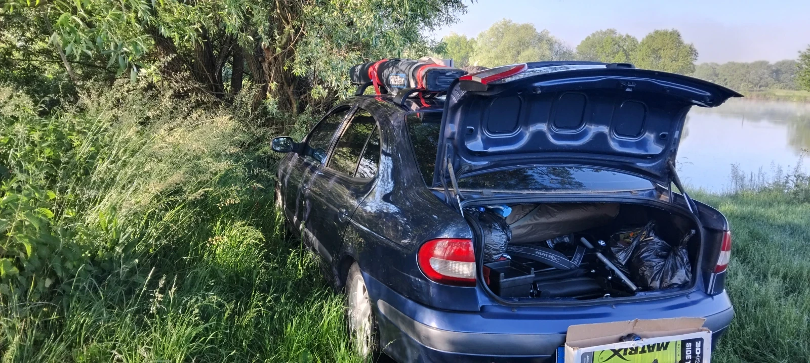 Renault Megane Classic, снимка 2 - Автомобили и джипове - 56344415
