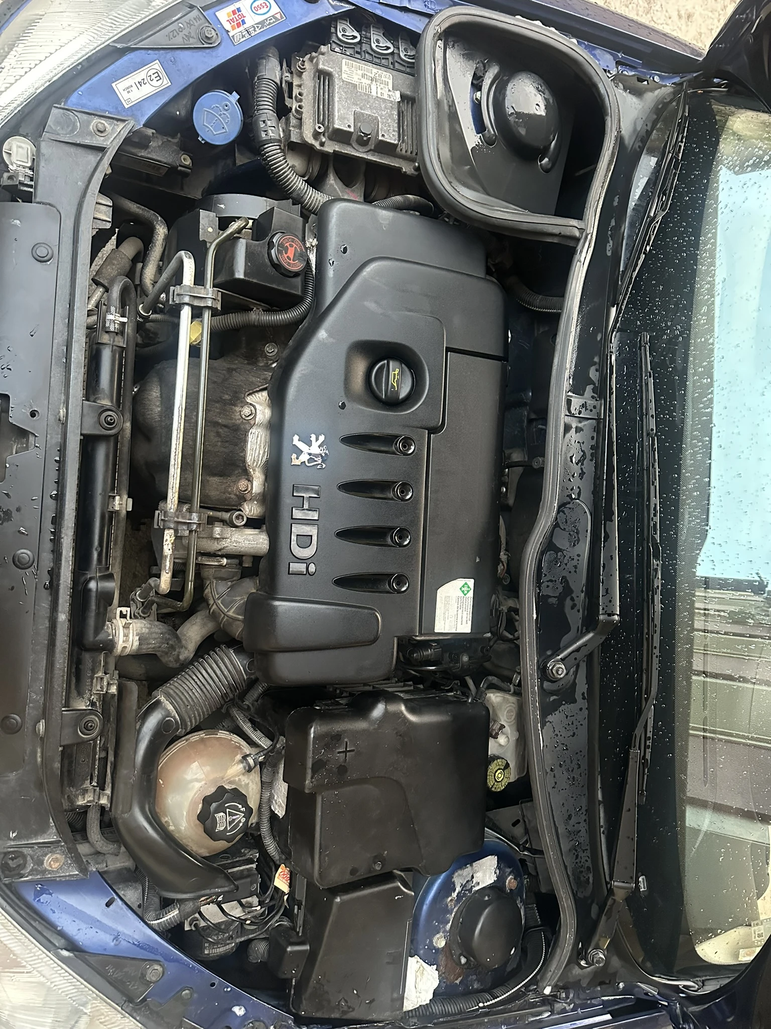 Peugeot 206 1.4HDI - изображение 8