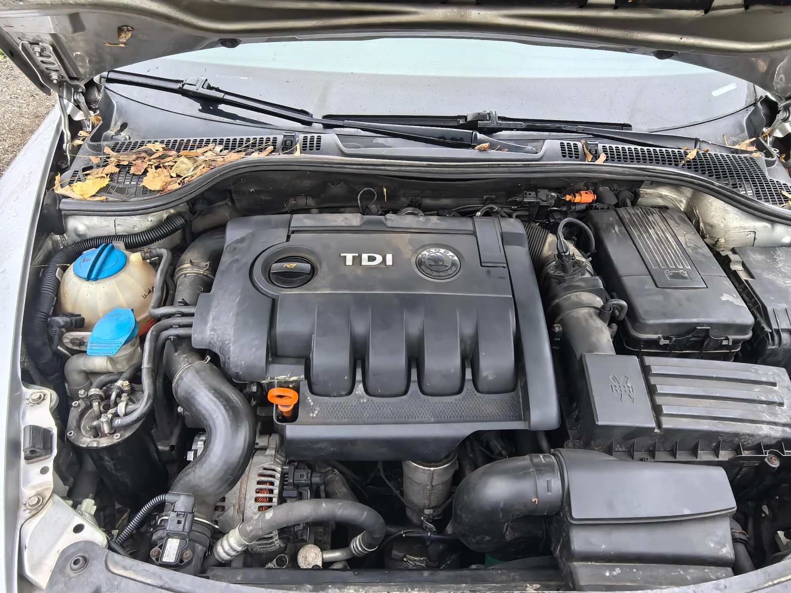 Skoda Octavia 2.0TDI | Mobile.bg � ����������� 15