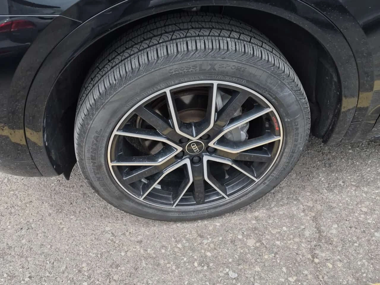 Audi Q5 * PROGRESSIV * CARFAX * ЦЕНА ДО БГ, снимка 13 - Автомобили и джипове - 55262407