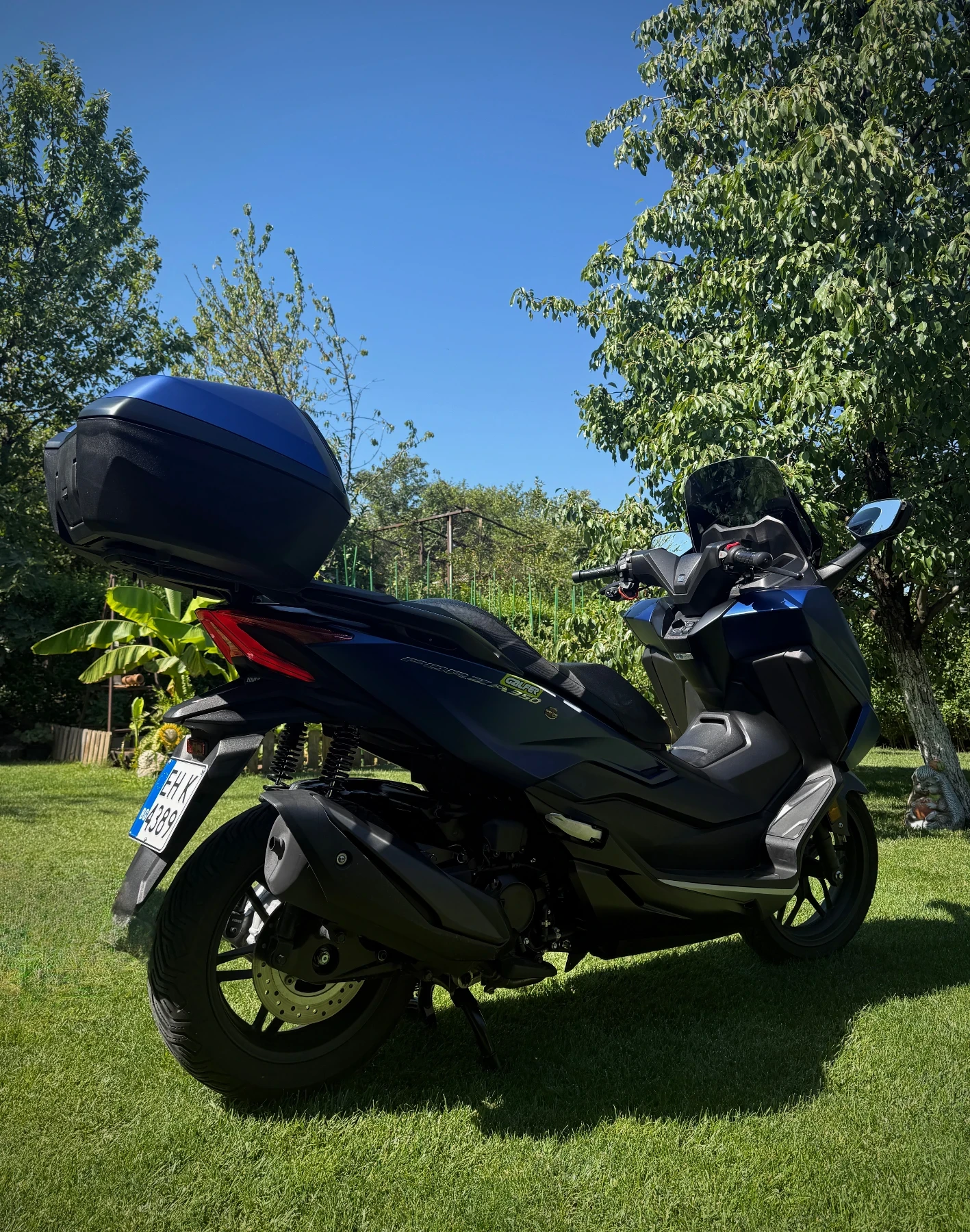 Honda Forza * 350ie * ABS-TCS * 2024 * , снимка 3 - Мотоциклети и мототехника - 55611922